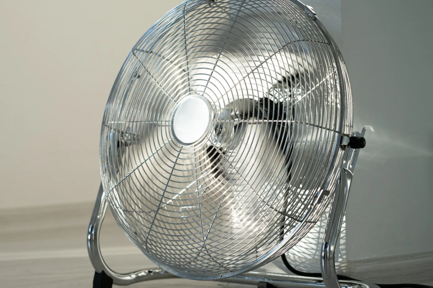 FANS