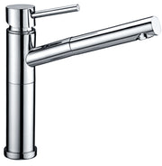 Tap with Shower (Stainless Steel)