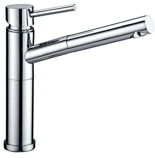 Tap with Shower (Stainless Steel)