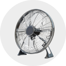 Fans