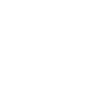 Ventura Online Shop